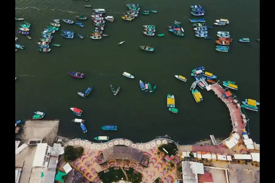 Imagen Manglares De Tumbes Sector Puerto Pizarro - Imagen 5