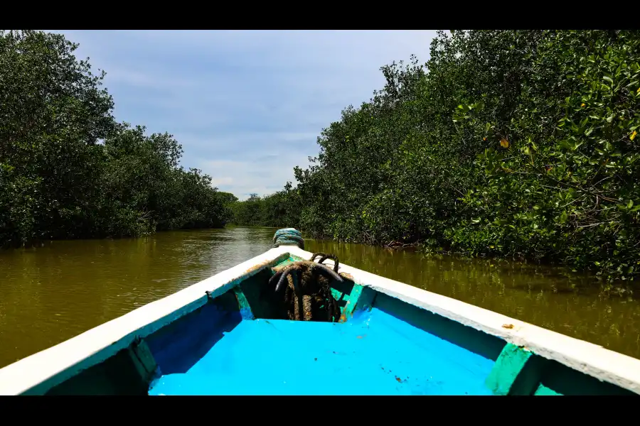 Imagen Manglares De Tumbes Sector Puerto Pizarro - Imagen 8