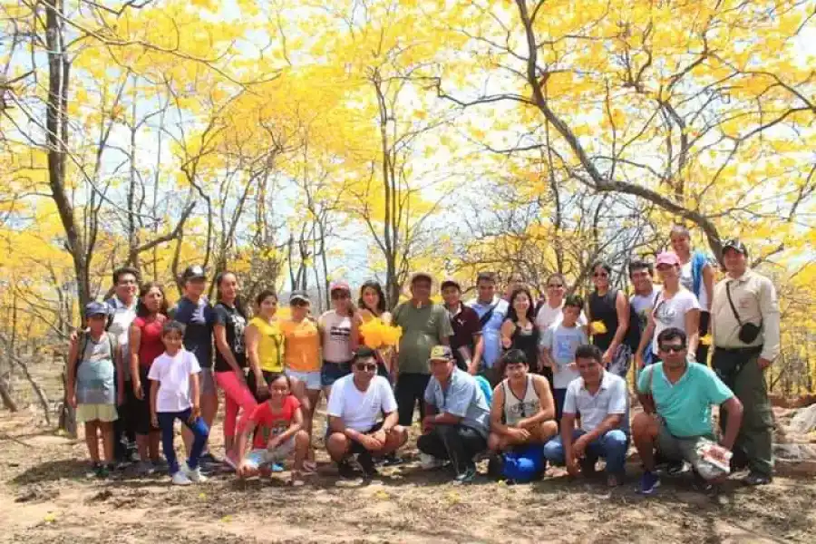 Imagen Festividad Del Florecimiento De Guayacanes En El Distrito De Casitas. - Imagen 3