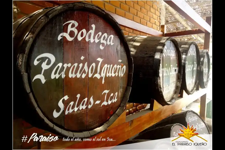 Imagen Bodega El Paraiso Iqueño - Imagen 2