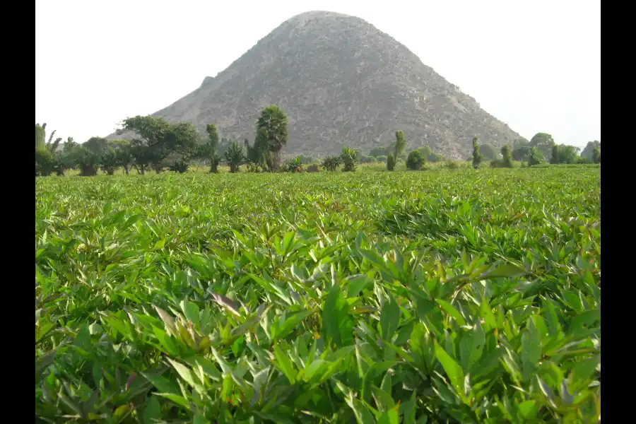 Imagen Cerro Pan De Azúcar - Imagen 1