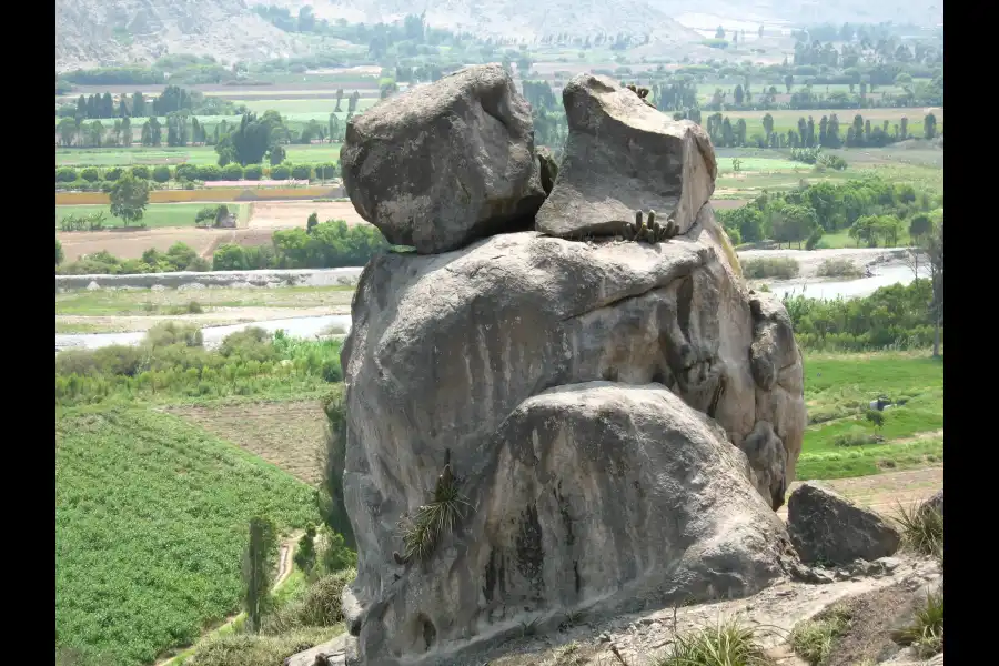 Imagen Cerro Pan De Azúcar - Imagen 3