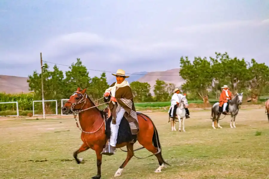 Imagen Feria Agropecuaria, Ganadera Y Gastronomica De Inclán - Imagen 1