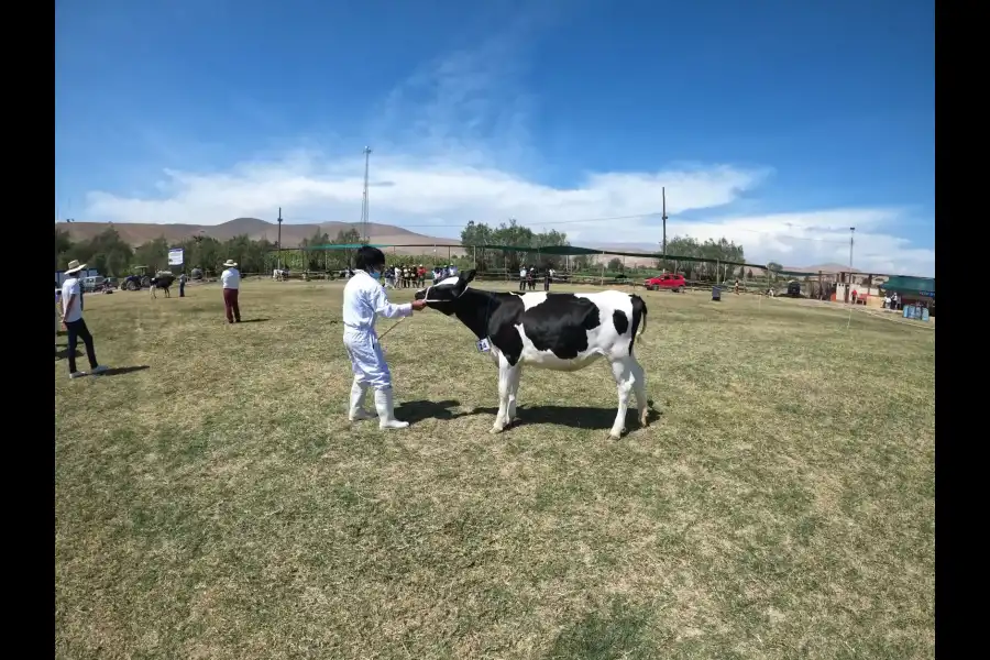 Imagen Feria Agropecuaria, Ganadera Y Gastronomica De Inclán - Imagen 3