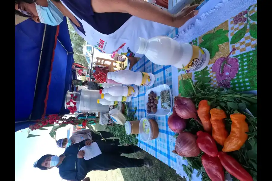 Imagen Feria Agropecuaria, Ganadera Y Gastronomica De Inclán - Imagen 5