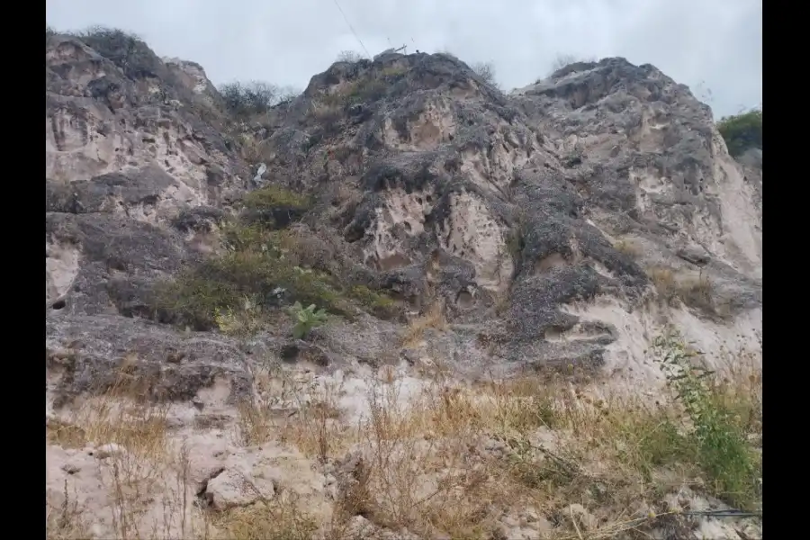 Imagen El Túnel Del Tren De La Asociación Agroforestal De Huaranjales - Imagen 10