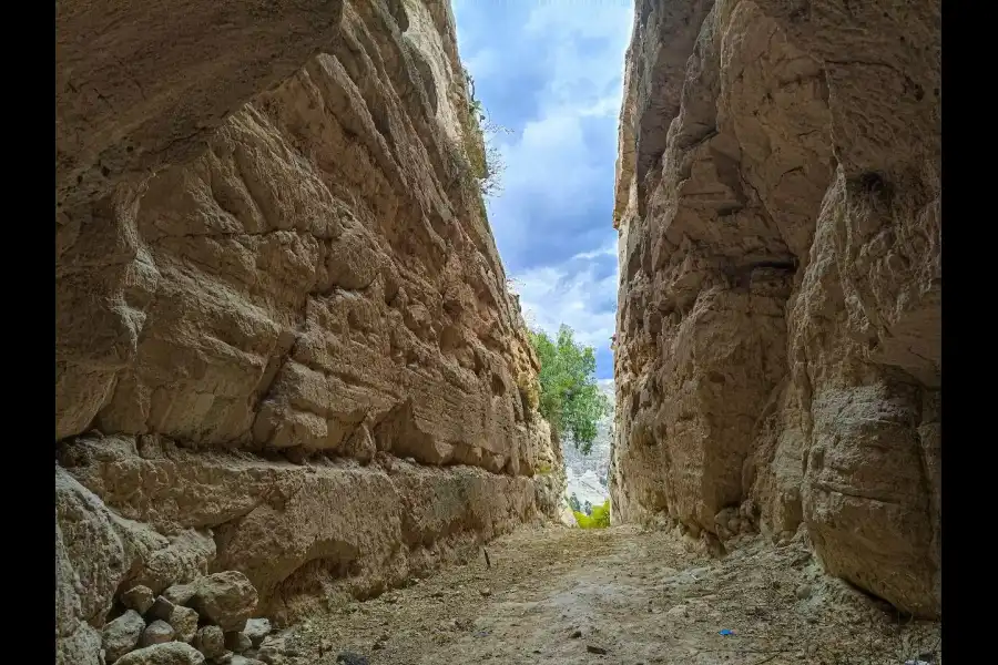 Imagen El Túnel Del Tren De La Asociación Agroforestal De Huaranjales - Imagen 4