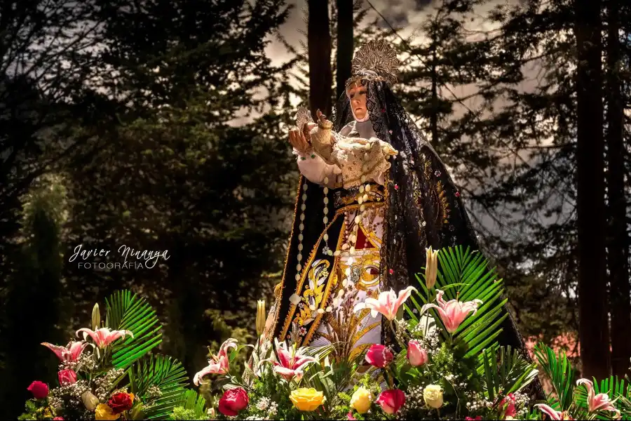 Imagen Fiesta Patronal De Santa Rosa De Ocopa - Imagen 1