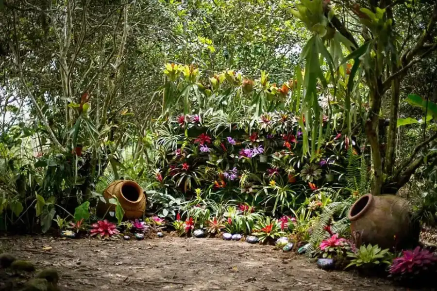 Imagen Jardín Botánico Amazonía - Imagen 1