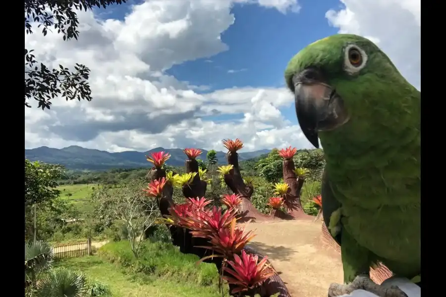 Imagen Jardín Botánico Amazonía - Imagen 4