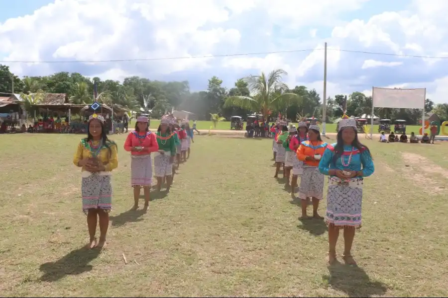 Imagen Comunidad Nativa Shipiba De Dos Unidos - Imagen 17