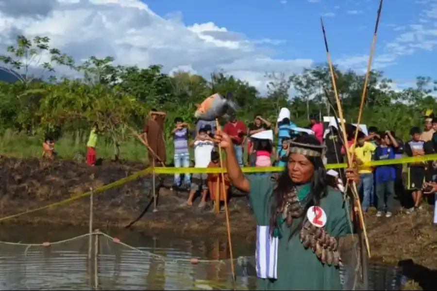 Imagen Comunidad Nativa De Ashaninca De Sampantuari - Imagen 3