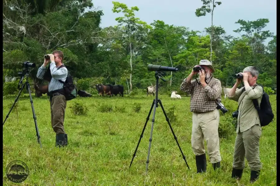 Imagen Panguana – Estación Biológica Y Área De Conservación Privada - Imagen 6