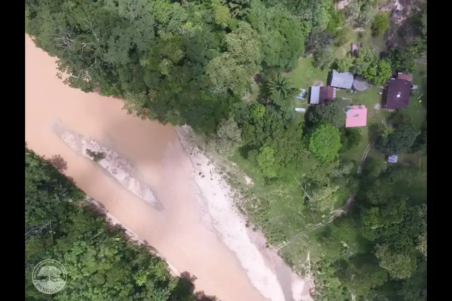 Imagen Panguana – Estación Biológica Y Área De Conservación Privada - Imagen 9