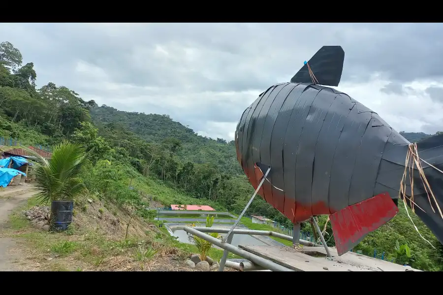 Imagen Centro De Produccion Y Reproduccion De Peces – Sol Naciente - Imagen 1