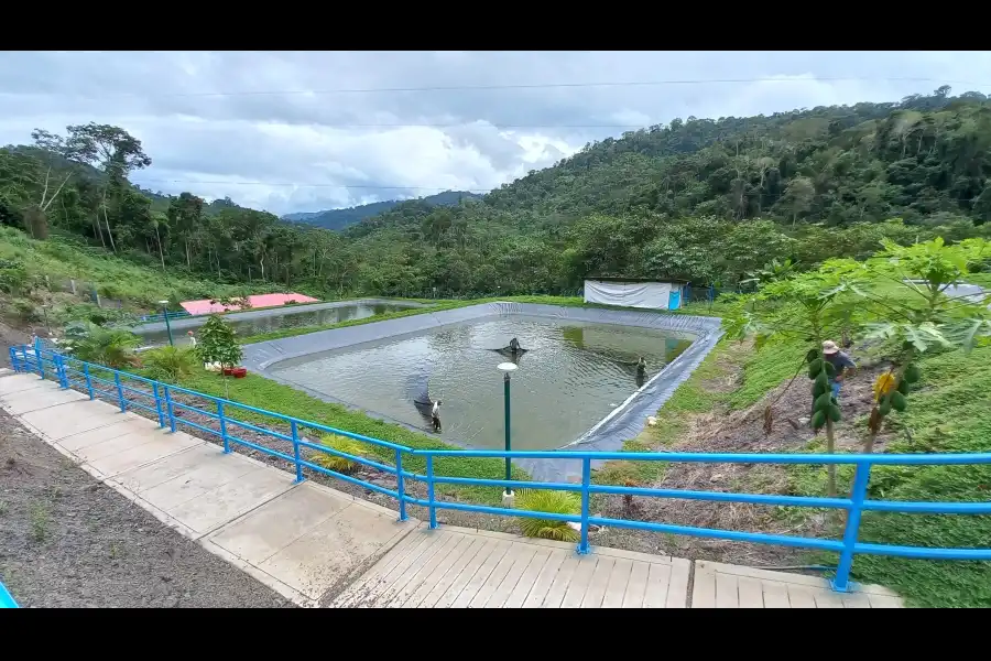 Imagen Centro De Produccion Y Reproduccion De Peces – Sol Naciente - Imagen 3