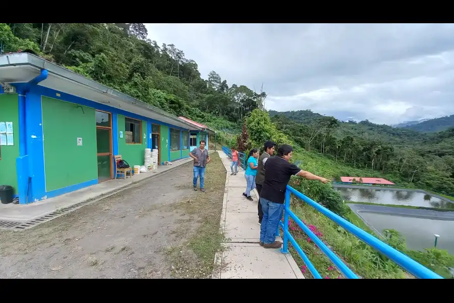 Imagen Centro De Produccion Y Reproduccion De Peces – Sol Naciente - Imagen 5