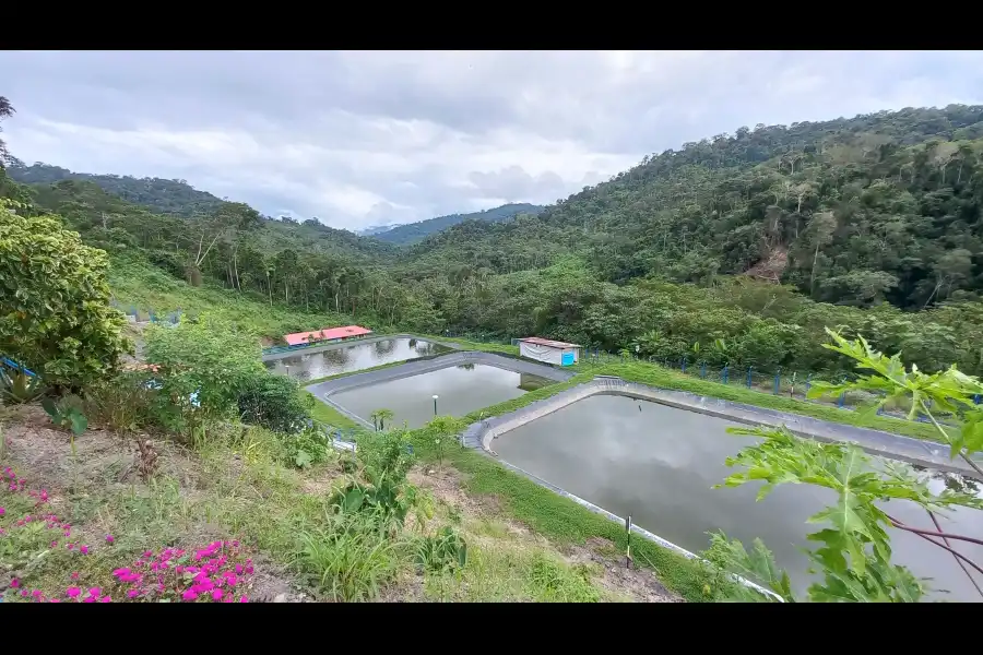 Imagen Centro De Produccion Y Reproduccion De Peces – Sol Naciente - Imagen 7