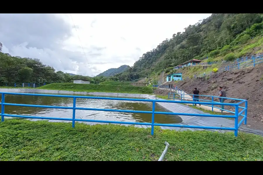 Imagen Centro De Produccion Y Reproduccion De Peces – Sol Naciente - Imagen 8