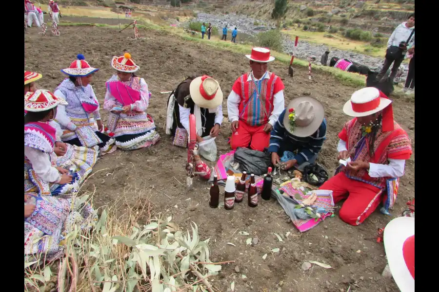 Imagen Danza Tradicional Qamili - Imagen 1