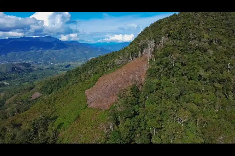 Imagen Mirador Otishi - Imagen 6