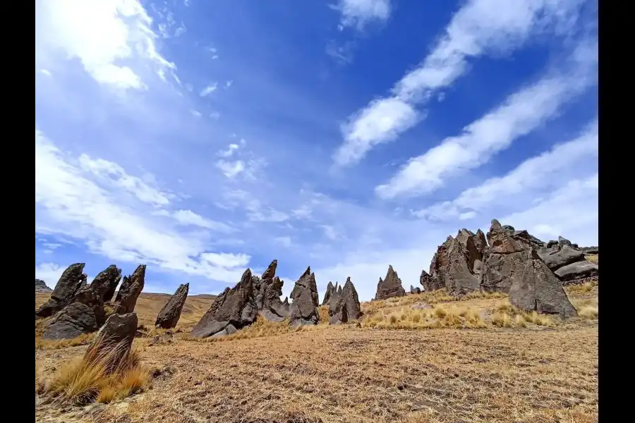 Imagen Bosque De Piedras Huayq’Opunku - Imagen 1