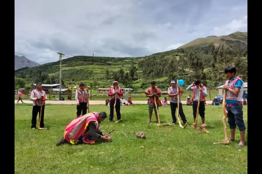 Imagen Comunidad  Campesina De Tintinco - Imagen 9