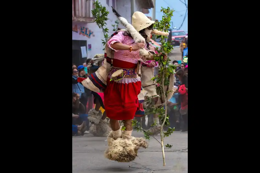 Imagen Danza De Los Auquines De Matahuasi, Yanamuclo Y Maravilca. - Imagen 14