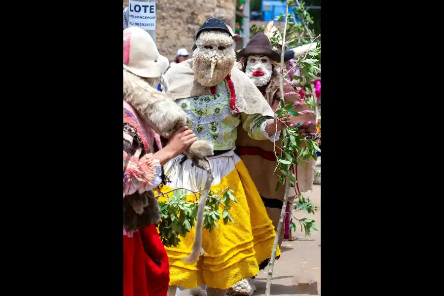 Imagen Danza De Los Auquines De Matahuasi, Yanamuclo Y Maravilca. - Imagen 9