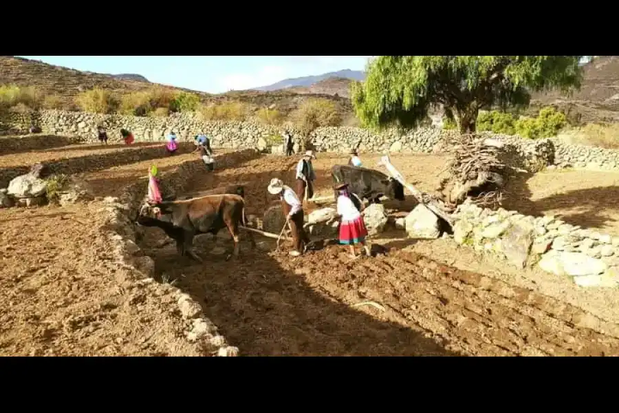 Imagen Pata Tarpuy Raymi - Imagen 5