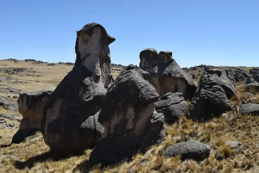 Imagen Bosque De Piedras De Chijos - Imagen 4