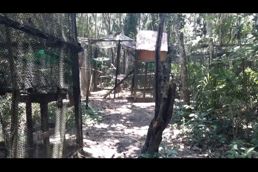 Imagen Centro De Rescate Y Rehabilitacion Amazon Shelter - Imagen 3