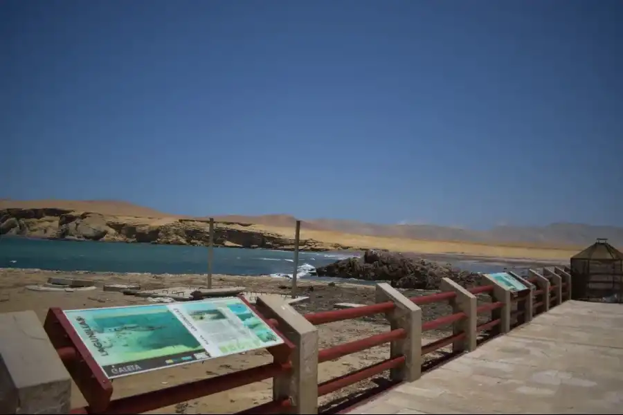 Imagen Playa Roja-Paracas - Imagen 5