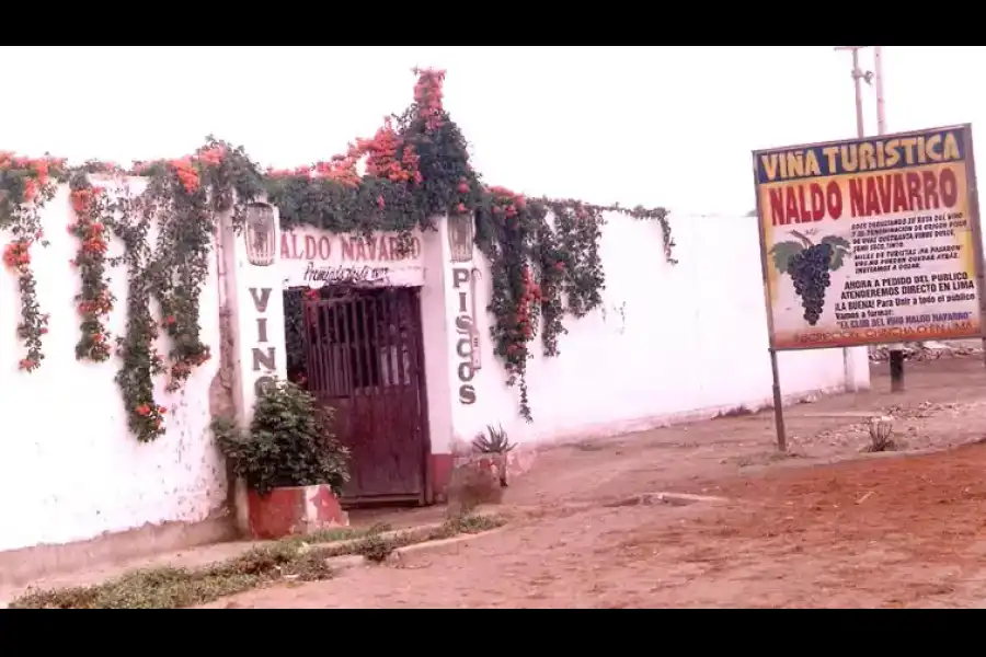 Imagen Bodega Viña Turística Naldo Navarro - Imagen 1