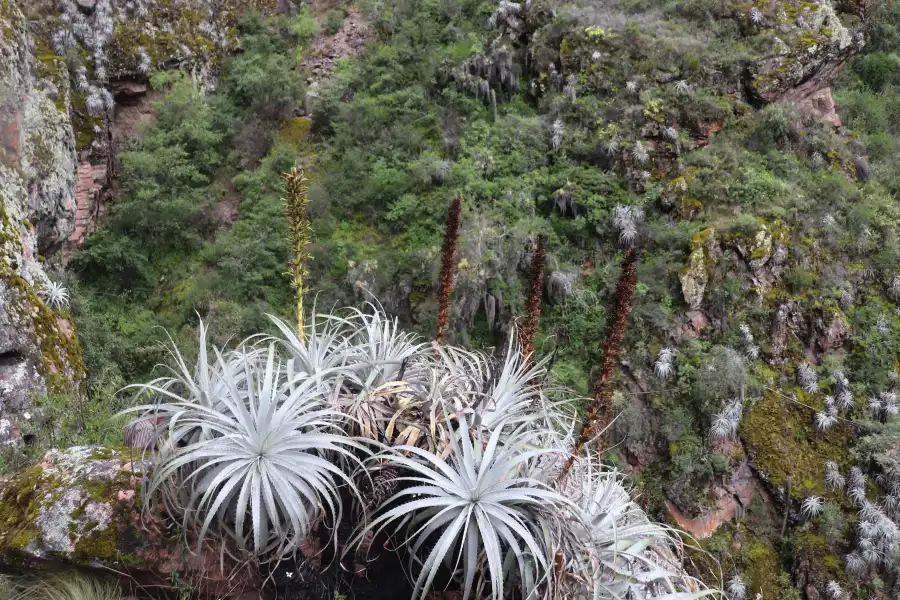 Imagen Catarata De Tomacucho - Imagen 6