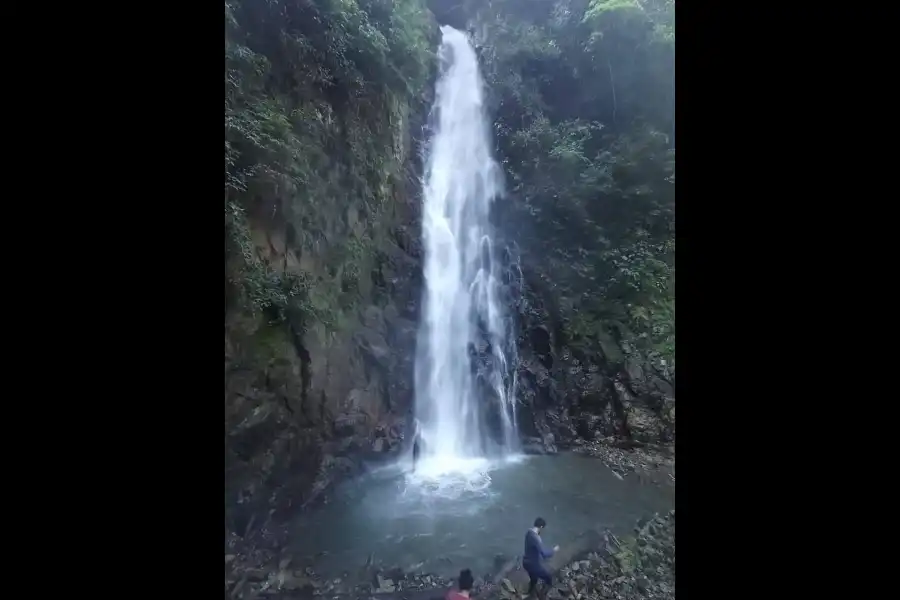 Imagen Bosque De Protección Valle Oculto De Mankuriari - Imagen 6