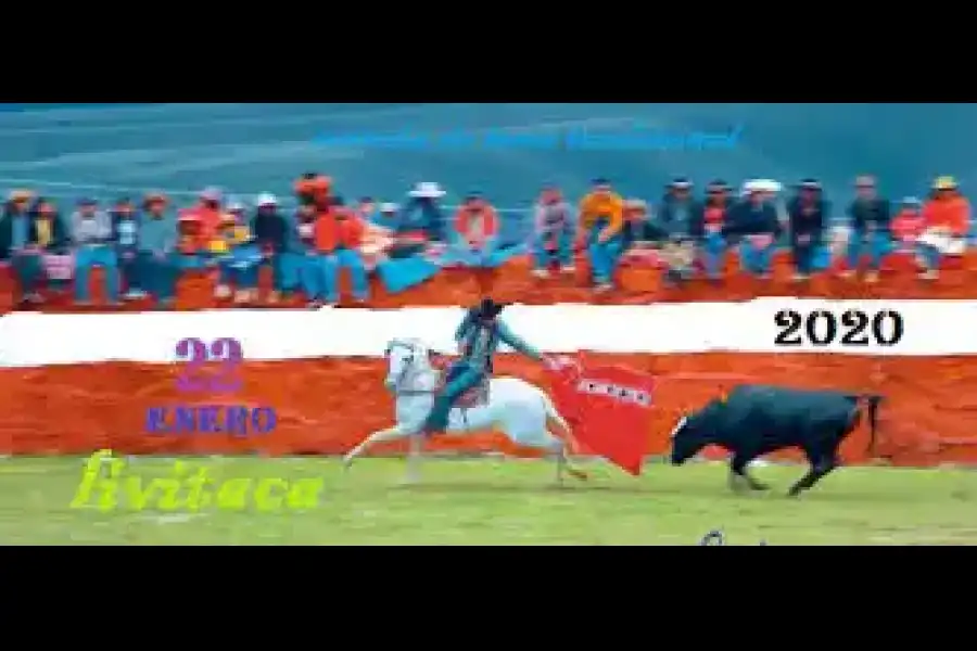 Imagen Corrida De Toros  Por Fiestas Patrias - Imagen 1