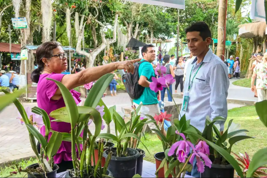 Imagen Festival De La Orquídea - Imagen 15