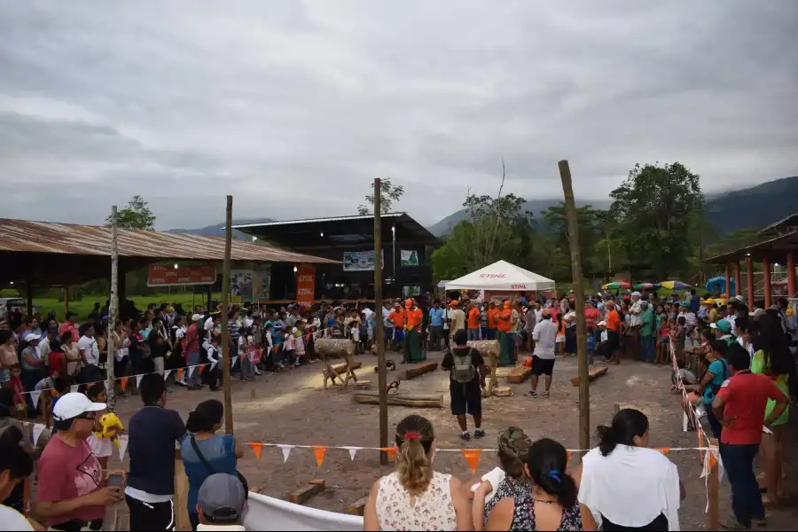 Imagen Feria Agropecuaria, Agroforestal Y Artesanal De Codo Del Pozuzo - Imagen 1