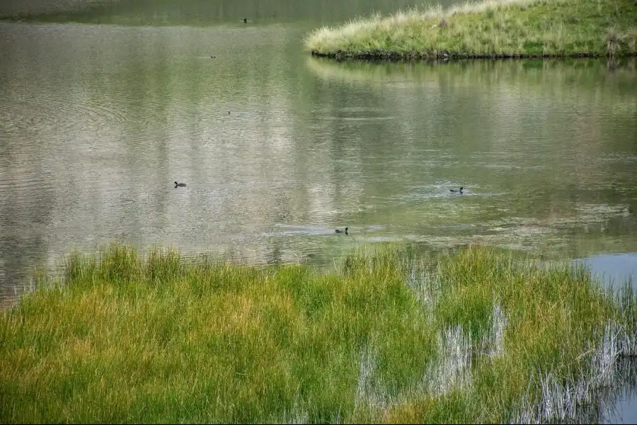 Imagen Laguna Uchacancha De Chongos Alto - Imagen 10