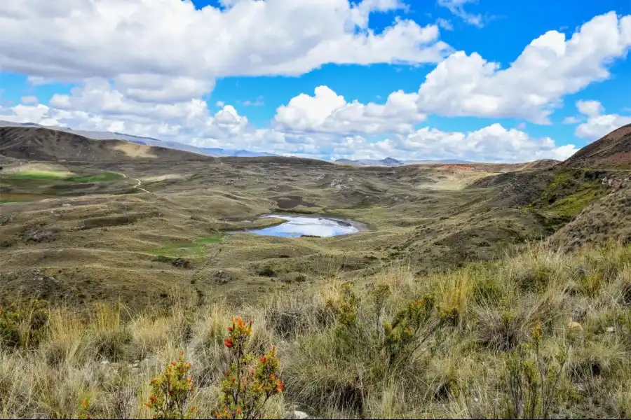 Imagen Laguna Uchacancha De Chongos Alto - Imagen 15