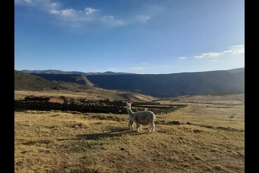 Imagen Mito De Anexo De Huayllahuarmi - Imagen 6