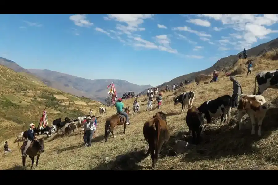 Imagen Rodeo Costumbrista Del Pueblo De Lampian - Imagen 5