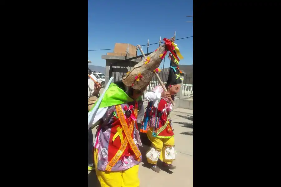 Imagen Rodeo Costumbrista Del Pueblo De Lampian - Imagen 8