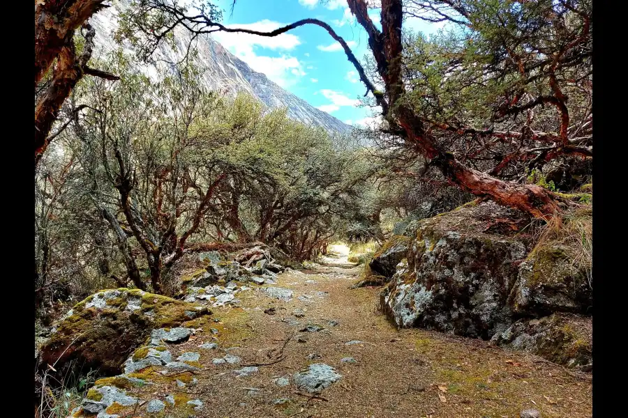 Imagen Quebrada Shallap Parque Nacional Huascarán) - Imagen 4