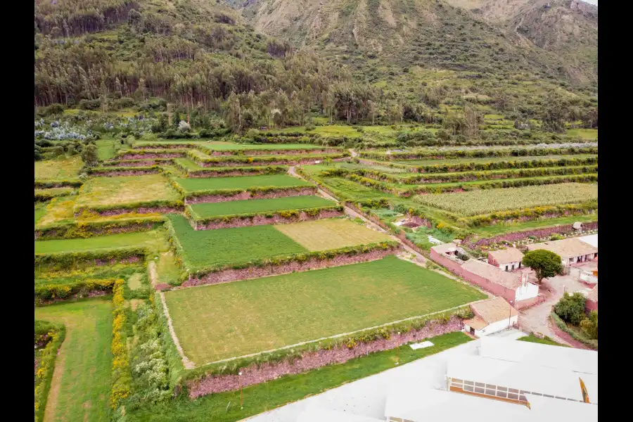 Imagen Sitio Arqueológico De Andenes De Zurite - Imagen 5