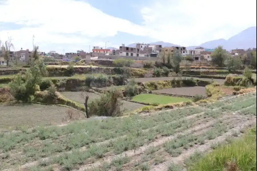 Imagen Quebrada De Tocrahuasi - Imagen 5