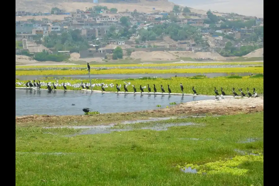 Imagen Humedales De Santa Rosa - Imagen 1