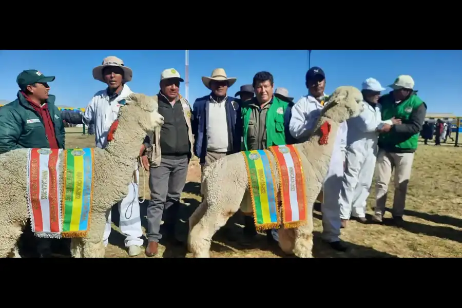 Imagen Feria Nacional Agropecuaria “Meseta Del Bombom” - Ninacaca - Imagen 4