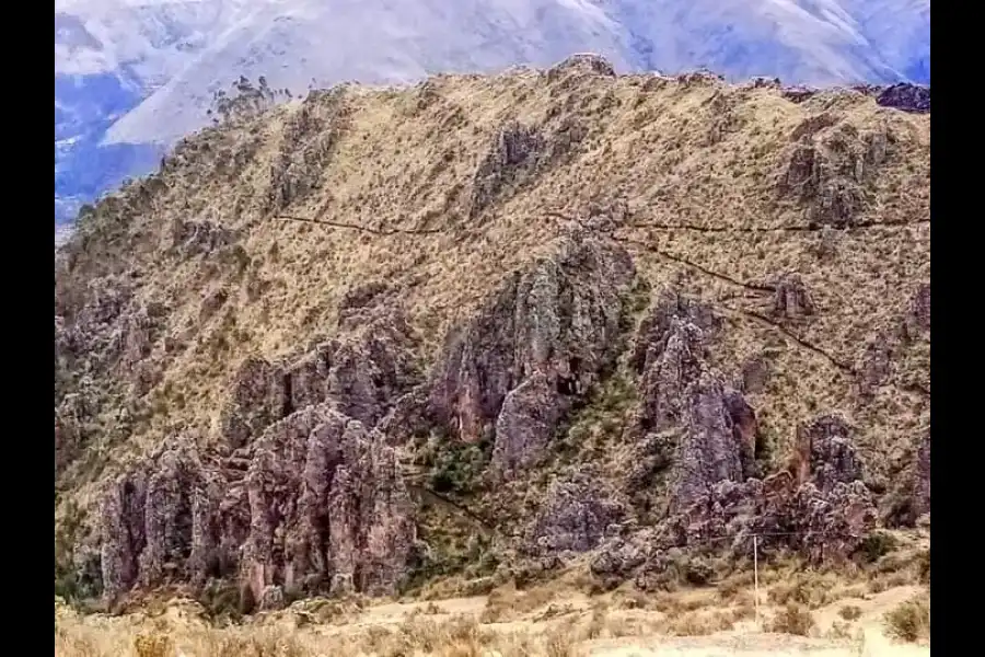 Imagen Bosque De Piedras De Ccenhua - Imagen 5